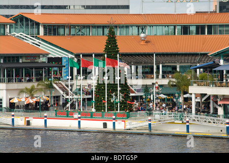 Noël au Jacksonville Landing sur la St John's River avec super grand arbre de Noël Banque D'Images