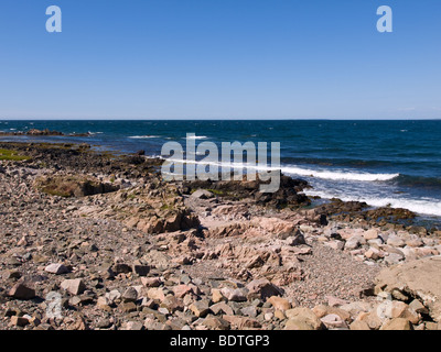 Côte sauvage dans Östra Kullabergs Naturreservat, Suède. Banque D'Images