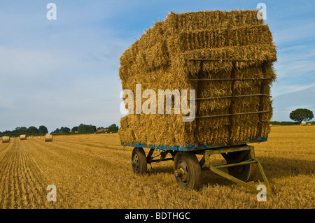 La paille en balles sur un wagon en attente de collecte, de l'East Yorkshire Banque D'Images