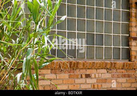 Un bloc de verre orne la fenêtre musée local dans la région de Carrizozo, Nouveau Mexique. Banque D'Images