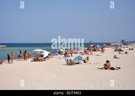 Plage de la ville, province de Bari, Bari, Pouilles, Italie Banque D'Images