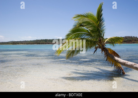 Strand von Nosy Be, l'Otan Madagaskar, Afrika, plage, Nosy Be, Madagascar, Afrique de l'Otan Banque D'Images