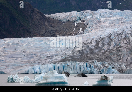 & Mendenhall-Gletscher Mendenhall-Glacier Eisberge / & iceberg / Juneau - Alaska Banque D'Images