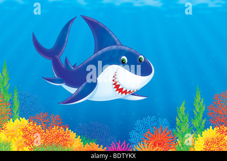 Requin Banque D'Images