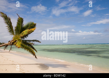Strand von Nosy Be, l'Otan Madagaskar, Afrika, plage de Nosy Be, Madagascar, Afrique Banque D'Images