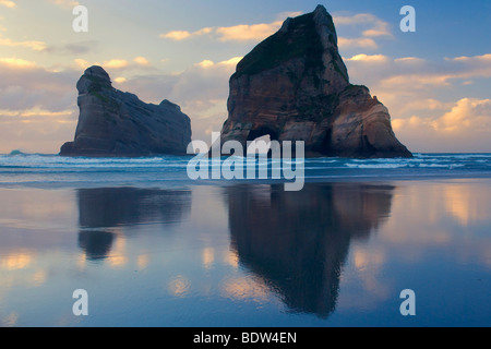 Par de puissants surf rock islands sculpté avec des grottes et des arcs à Wharariki beach au coucher du soleil, Wharariki Beach, New Zealand Banque D'Images