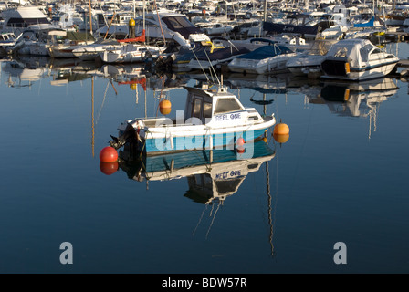 Un petit bateau de pêche amarré dans le port de plaisance de Torquay Banque D'Images