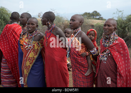 Les femmes masaï du Kenya à se préparer à leur danse Masai village dans le Parc National d'Amboseli. Photo par Sean Sprague 2007 Banque D'Images