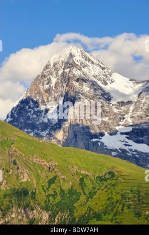 Vue de l'ouest de l'arête ouest et le mur nord du Mt. Eiger, le Canton de Berne, Suisse, Europe Banque D'Images