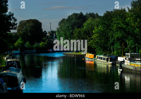 Les chalands amarrés sur le canal à Lea Valley à la périphérie de Springfirld Park au nord de Londres. Banque D'Images