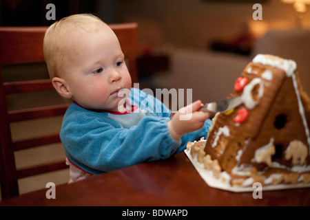 Fille enfant travaillant sur Gingerbread House, La Jolla, Californie, USA Banque D'Images