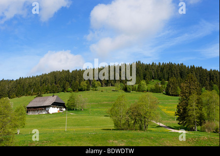 Ferme de la Forêt-Noire Hochschwarzwald près du lac Schluchsee, Forêt-Noire, Bade-Wurtemberg, Allemagne, Europe Banque D'Images