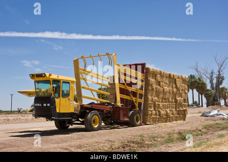 Un champ empileuse des dépôts ou de côté des routes un chargement de balles de blé près d'une route située dans l'Imperial Valley, California Banque D'Images