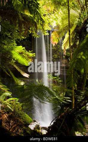 Russell Falls, parc national du mont Field, Tasmanie, Australie Banque D'Images