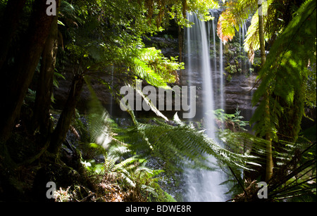 Russell Falls, parc national du mont Field, Tasmanie, Australie Banque D'Images