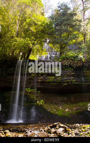 Russell Falls, parc national du mont Field, Tasmanie, Australie Banque D'Images