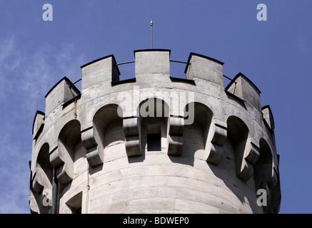 Tour de Schloss Neuschwanstein castle à Füssen, en Bavière, Allemagne, Europe Banque D'Images