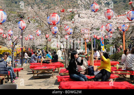 Cherry Blossom Festival à parc Maruyama à Kyoto, Japon, Asie de l'Est, Asie Banque D'Images