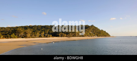 Panorama, plage, Kingfisher Bay, forêt d'Eucalyptus, l'UNESCO Site du patrimoine naturel mondial, Fraser Island, Great Sandy Par National Banque D'Images