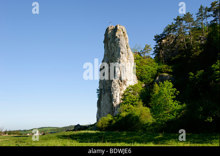 Burgsteinfelsen rock, près de Denkendorf dans le Parc Naturel de la vallée de Altmuehl Bavaria, Middle Franconia, Bavaria, Germany, Europe Banque D'Images