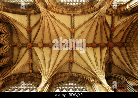 Les voûtes de la nef de la cathédrale de Lichfield, décoré, de style gothique anglais, 1256-1340, l'Étroite, Lichfield, England, UK, Banque D'Images