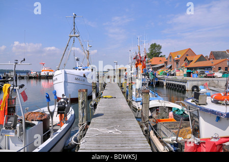 Port de la mer Baltique, l'estuaire Schlei, Maasholm Schleswig-Holstein, Allemagne du nord, l'Allemagne, de l'Europe Banque D'Images
