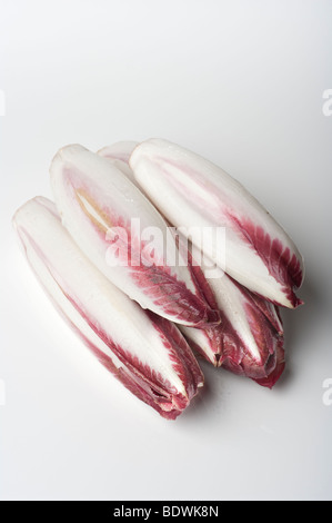Bande d'chickory (witlof) sur un fond blanc pour utiliser la découpe Banque D'Images