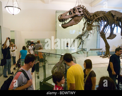 Les personnes à la recherche d'un dinosaure à l'exposition à l'American Museum of Natural History, New York USA Banque D'Images