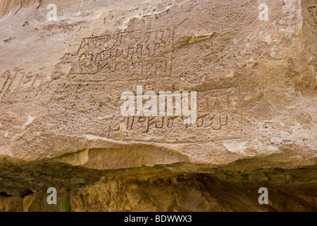 Nabatéenne antique Inscription Rock au printemps ou Shalaaleh Lawrences Ain dans le Wadi Rum Jordanie Banque D'Images