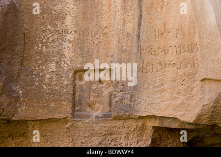 Roches anciennes Inscription au printemps ou Shalaaleh Lawrences Ain dans le Wadi Rum Jordanie Banque D'Images