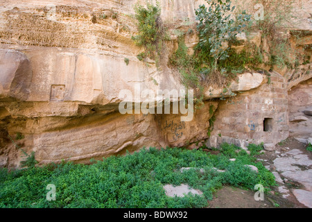 Lawrences Printemps ou Ain Shalaaleh dans le Wadi Rum Jordanie Banque D'Images