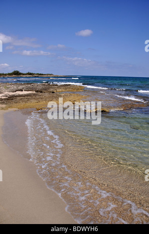 Vue sur la plage, la réserve naturelle de Torre Guaceto, province de Brindisi, Pouilles, Italie Banque D'Images