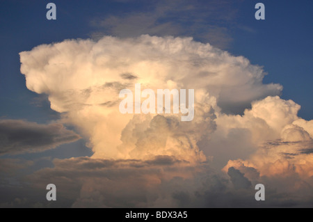 Cumulus mediocris congestus, la formation des nuages, le soir au coucher du soleil, 85399, Upper Bavaria, Bavaria, Germany, Europe Banque D'Images