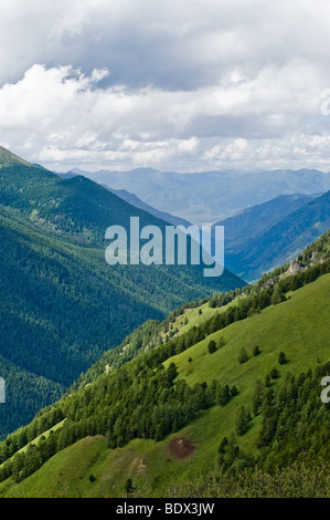 Vallée de la rivière Kucherla dans l'Altaï (Russie) Banque D'Images