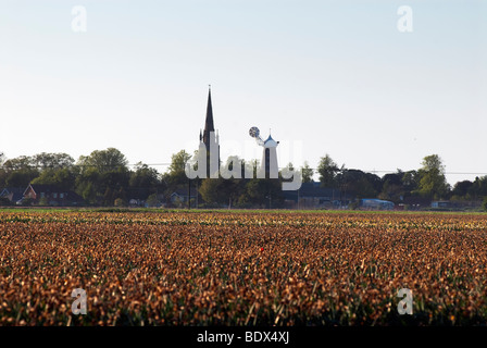 L'église et l'usine de Moulton près de Spalding, dans le Lincolnshire, Angleterre,'Grande-bretagne' Banque D'Images