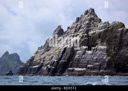 Bassan sur et autour de little skellig, Irlande Banque D'Images