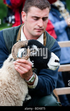 Brebis Swaledale étant montré à Muker Show. North Yorkshire Banque D'Images