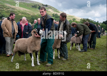 Brebis Swaledale étant montré à Muker Show. North Yorkshire Banque D'Images