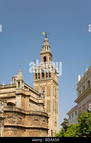 Cathédrale, Séville, Andalousie, Espagne, Europe Banque D'Images