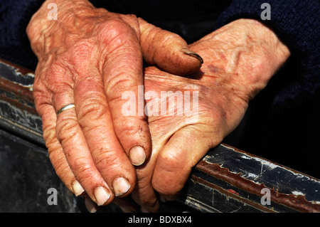 Old Lady's hands montrer les signes de dur travail Banque D'Images