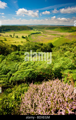 Trou de Horcum, Levisham Moor près de Pickering, North York Moors National Park Banque D'Images