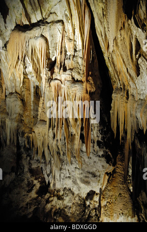 Des stalactites pendent du plafond à l'intérieur de la grotte karstique, Postojna, Slovénie, Europe Banque D'Images