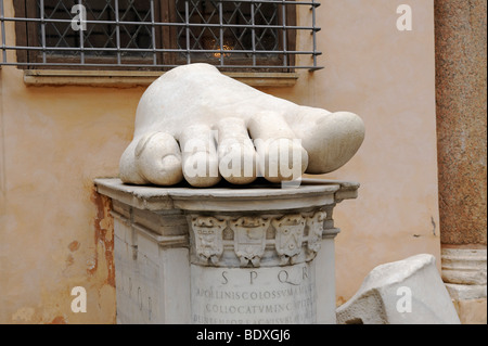 En colossal pied, partie d'une statue, Musées du Capitole, Rome, Italie, Europe Banque D'Images