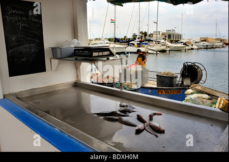 Canet-en-Roussillon, France, le nettoyage des filets de pêche pêcheur sur le port à l'extérieur, marché aux poissons, de décrochage, d'affichage (près de Perpignan) Banque D'Images