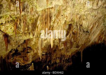 Des stalactites pendent du plafond, grotte karstique, Postojna, Slovénie, Europe Banque D'Images