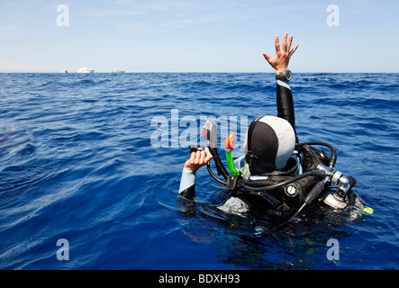 Plongeur à la dérive en mer tente d'obtenir l'attention des gens sur les bateaux de plongée à l'horizon avec un signal-corne et en agitant, Egyp Banque D'Images