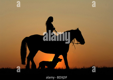 Cavalière avec un chien devant un coucher de soleil, silhouette Banque D'Images