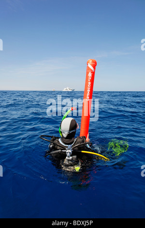 Plongeur à la dérive en mer en essayant d'attirer l'attention des gens sur les bateaux de plongée à l'horizon avec des bouées de sécurité, l'Égypte, Mer Rouge, Afr Banque D'Images