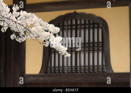 Windows bouddhiste typique dans le temple Nanzen-ji avec cherry blossom à Kyoto, Japon, Asie Banque D'Images