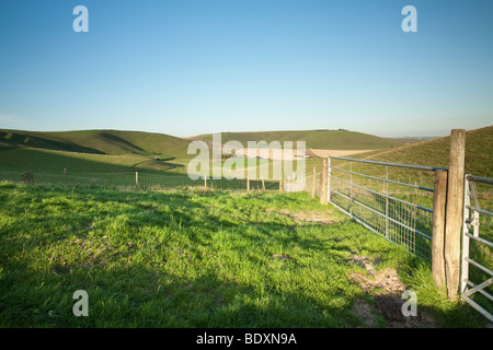 Voir de lait Hill des pistes de Tan Hill, Wiltshire, Royaume-Uni Banque D'Images